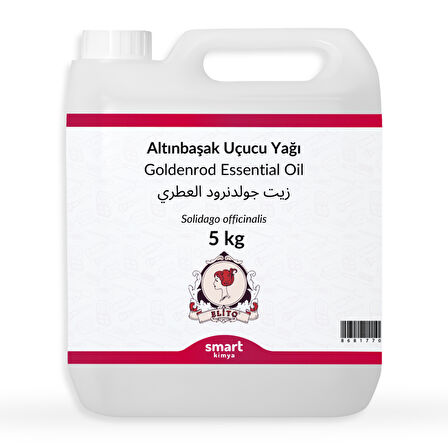 Altınbaşak Uçucu Yağı Solidago officinalis 5 kg