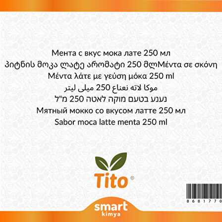 Naneli Mocha Latte Aroması 250 ml