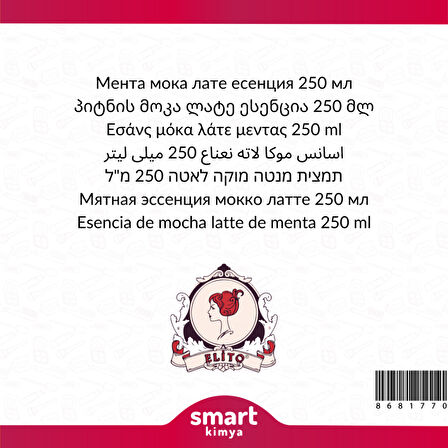 Naneli Mocha Latte Esansı 250 ml