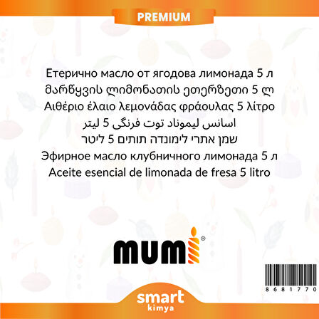 Premium Naneli Mocha Latte Mum Esansı 5 litre