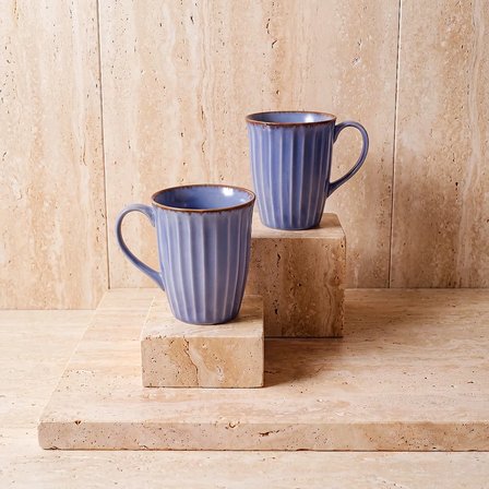 GÜRAL PORSELEN Mavi Rölyef Desenli 2li Porselen Mug Seti