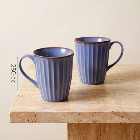 GÜRAL PORSELEN Mavi Rölyef Desenli 2li Porselen Mug Seti