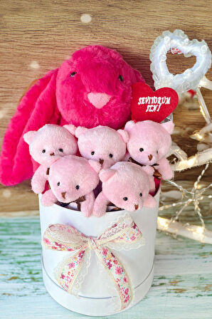 SOLE Premium Özel Hediye Kutusunda 45 cm Fuşya Bunny Tavşan ve 5 Adet Pembe Peluş Ayıcık Buketi
