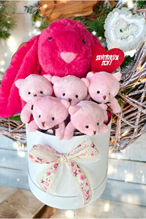 SOLE Premium Özel Hediye Kutusunda 45 cm Fuşya Bunny Tavşan ve 5 Adet Pembe Peluş Ayıcık Buketi