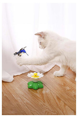Pribor Hareketli Kedi Oyuncağı Dönen Kuş Başlıklı ( Pille Çalışır)