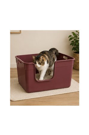 Pribor Yüksek Kenarlı Yarı Açık Kedi Tuvaleti, Geniş ve Kolay Temizlenebilir 54 x 40 x 32 cm Bordo