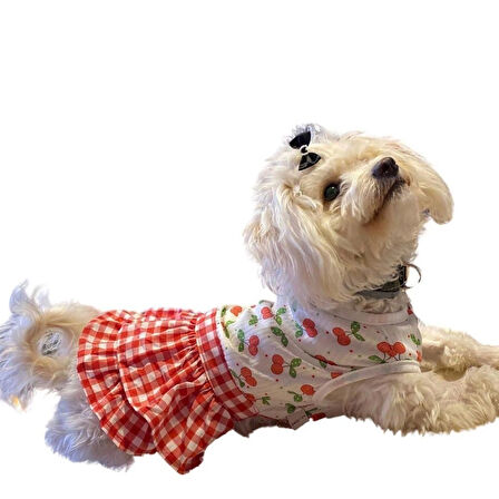 Gedyco Kirazlı Kareli Küçük Irk Köpek Elbisesi