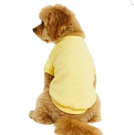 Gedyco Lemon Yellow Küçük Irk Köpek Likralı Sweatshirt