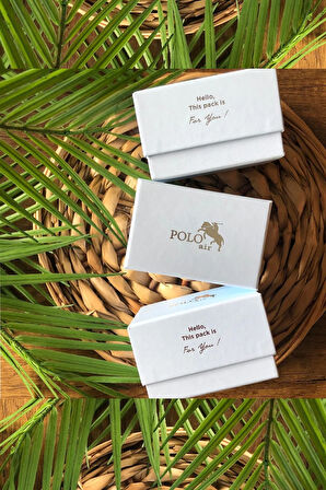 Mercek Takvimli Erkek Kol Saati Siyah Renk PL-0901E1x