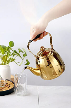 Vicalina 3 Litre Paslanmaz Çelik Demlik İthal Alman Kalitesi Gold VL-TJ04