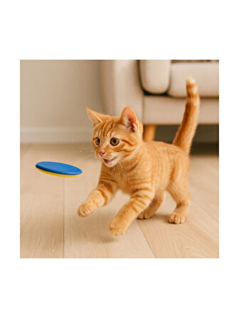 EVCİL HAYVAN EVA DİSK ATICI OYUNCAK