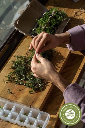 Yörem Afyon Anadolu’nun Sofra Mirası Hoş Kokulu El Toplaması Doğal Kurutulmuş Zahter {Origanum syriacum} | 150Gr