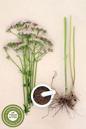 Yörem Afyon Bursa Uludağ'İn Kediotu Kökü {Valeriana Officinalis} | 55Gr
