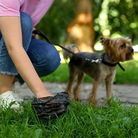 Pet Miyav® 10 Adet Evcil Hayvan Kullan At Kaka Poşeti