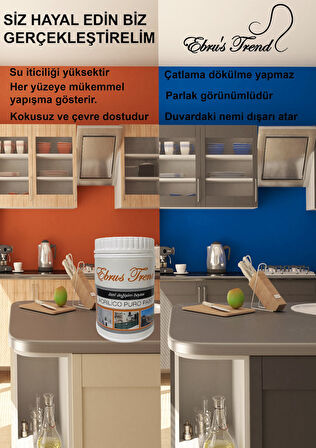 EBRUS TREND ÖZEL DEĞİŞİM BOYASI 1 KG