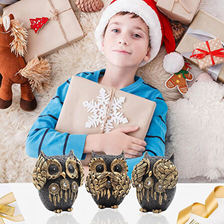 Lüks Dream Catcher Düş Kapanı İşlemeli Görmedim Duymadım Bilmiyorum 3'lü Dekoratif Baykuş Biblo Seti