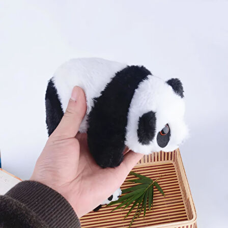 İthal Kumaş Sevimli Gerçek Görünümlü Panda Peluş Oyuncak Uyku & Oyun Arkadaşı 18 cm.