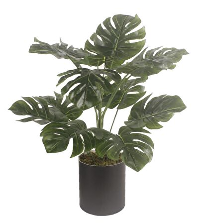 Yapay Çiçek Monstera Deve Tabanı Siyah Saksılı Salon Çiçeği 15 Yaprak