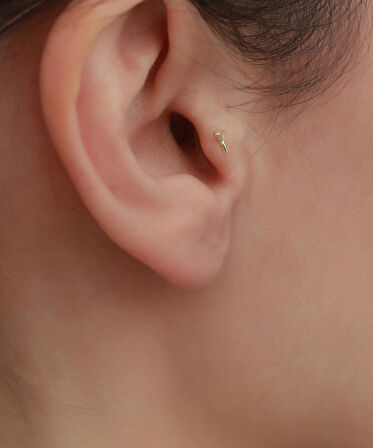 14 Ayar Altın Deniz Yıldızı Kuyruk Tragus Piercing