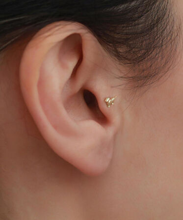 14 Ayar Altın Köpek Motifli Tragus Piercing