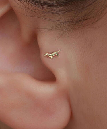 14 Ayar Altın Köpek Motifli Tragus Piercing