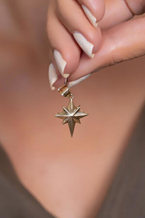 14 Ayar Altın Bombeli Kuzey Yıldızı Kolye Ucu