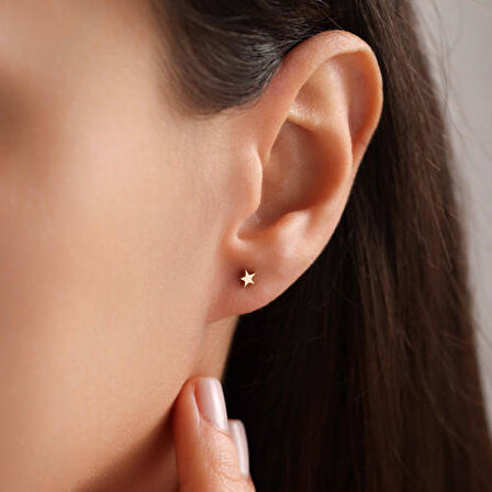 14 Ayar Altın Star Tekli Küpe