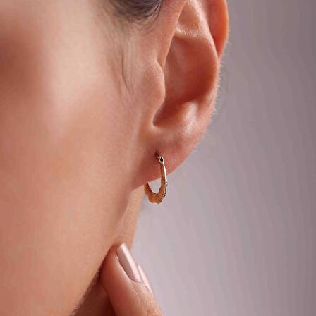 14 Ayar Altın Mini Tekli Deniz Atı Halka Küpe