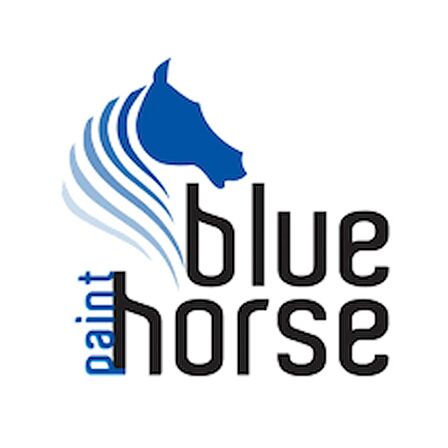 BLUE HORSE AKRİLİK VERNİK  5L 