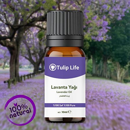 Lavanta Uçucu Yağı %100 Saf Seyreltilmemiş (  Lavender Oil ) 10ML