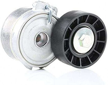 Psa Alternator Gergi Rulmanı Partner II Berlingo II P406 2,0hdi 8v 05>08 P307 P407 P508 P607 C4 C5 II C5 - Dayco Apv1028