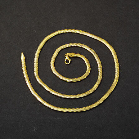 3mm. Balık Sırtı 14 Ayar Altın Zincir Kolye 60cm.