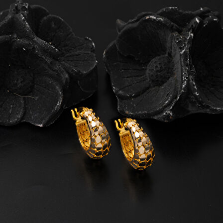 Kalın Pullu Halka 14 Ayar Altın Küpe