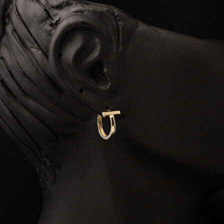 Te Model 14 Ayar Altın Halka Küpe