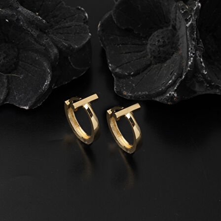 Te Model 14 Ayar Altın Halka Küpe