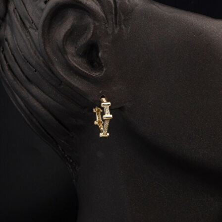 Üçgen Spor Altın Küpe