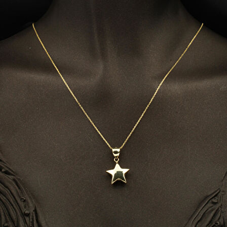 14 Ayar Altın Yıldız Kolye