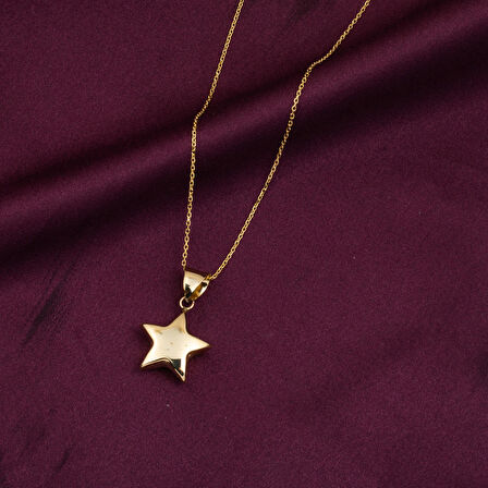 14 Ayar Altın Yıldız Kolye