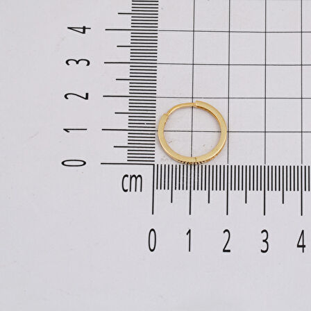 Tamtur Taşlı 14 Ayar Altın Halka Küpe