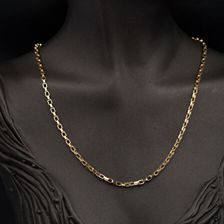 55 cm. Halkalı Ataç Altın Zincir Kolye