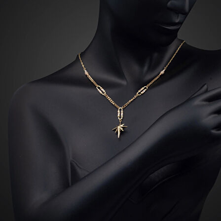 Gurmet Zincirli Kuzey Yıldızı Altın Kolye 14 Ayar