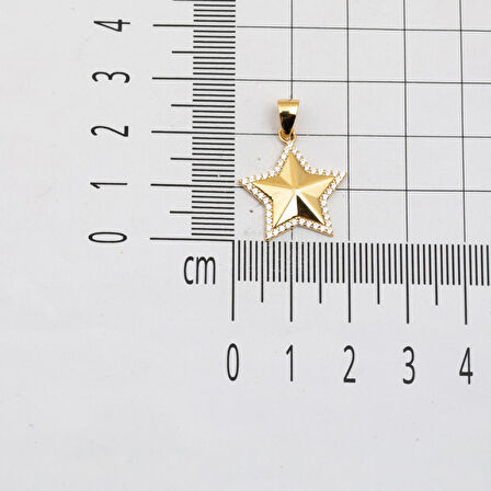 Deniz Yıldızı 14 Ayar Altın Kolye