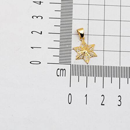 Selçuklu Yıldızı Kolye Ucu 14 Ayar Altın