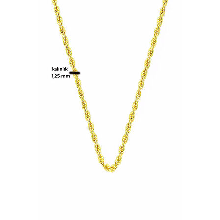 Burgu 14 Ayar Altın Zincir 55 cm