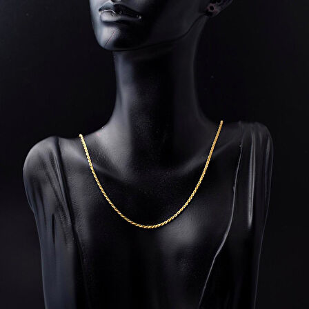 Burgu 14 Ayar Altın Zincir 55 cm