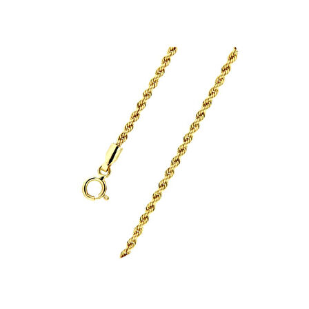 Burgu 14 Ayar Altın Zincir 55 cm