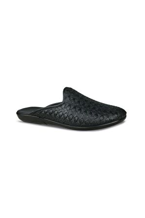 PIERRO-7 (40-45)