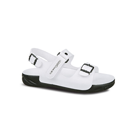 CAPRI-26 (19-34)