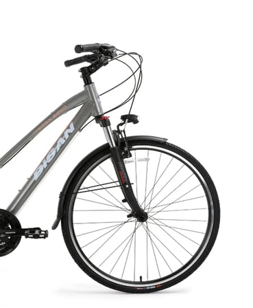 Bisan TRX8200 City 28 Jant 21Vites 45CM Kadro Bayan Şehir Bisikleti Açık Metalik Gri / Beyaz Pembe