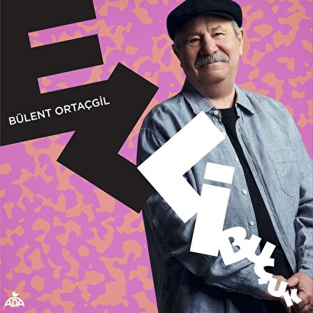 Bülent Ortaçgil - Elli Buçuk (2'li Plak)  